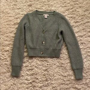 Sincerely Jules Soft Green Knit Cardigan